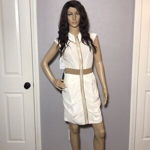 Beautiful Bebe dress